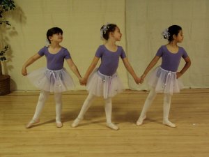 Beginner Ballet One